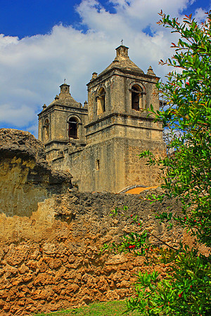 Texas Wildflowers and Missions 1292