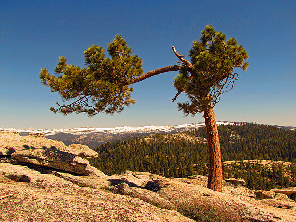 Yosemite 152