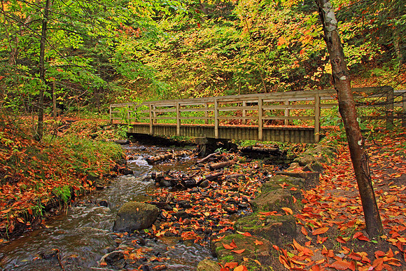 Michigan UP Fall 6781