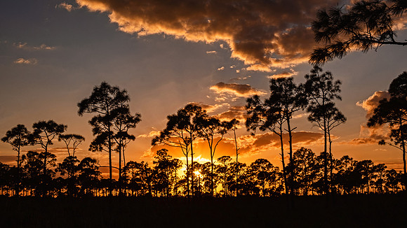 Everglades 8690