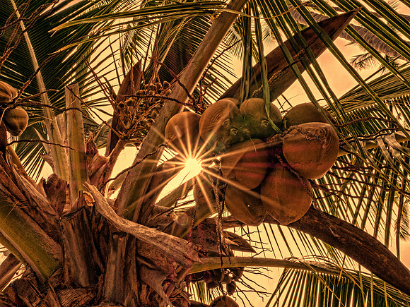 Hawaiian Islands 1080285