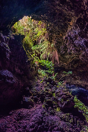 Hawaiian Islands 6305
