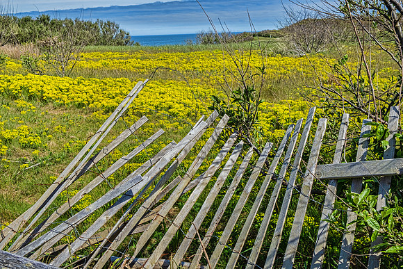 New England Coastline 0004