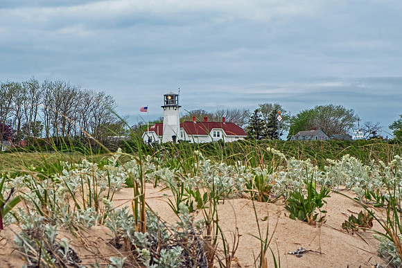 New England Coastline 9964