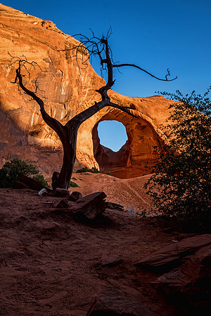 Monument Valley 7219