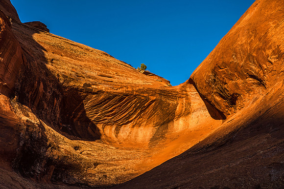 Monument Valley 7233