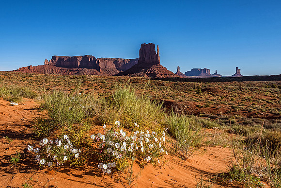 Monument Valley 7255