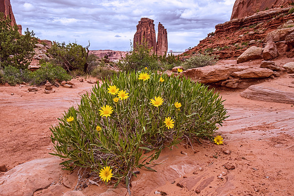 Arches NP 6845