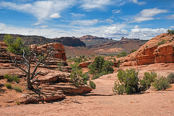 Arches NP 6927
