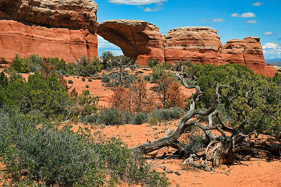 Arches NP 6939