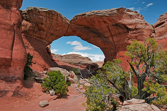 Arches NP 6944