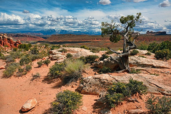 Arches NP 6959