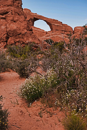 Arches NP 6750