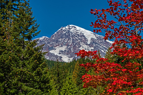 Mt Rainier NP 4840