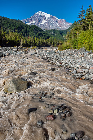 Mt Rainier NP 4858