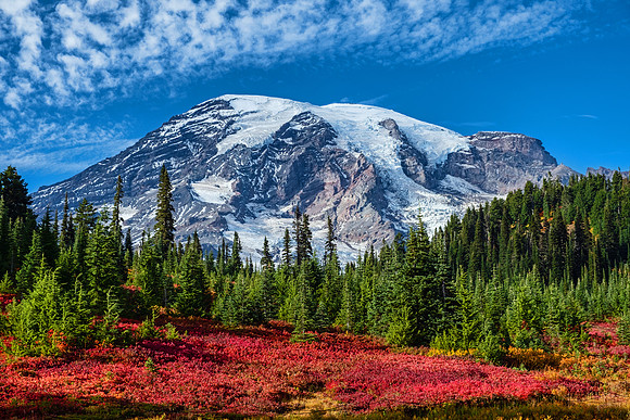 Mt Rainier NP 4059