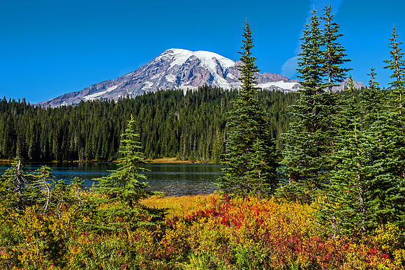 Mt Rainier NP 4880