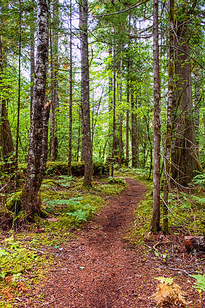 North Cascades NP-Mt Bake 4699