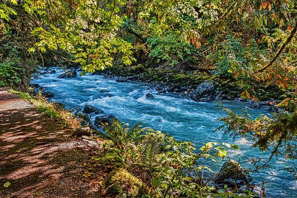North Cascades NP-Mt Baker 4744