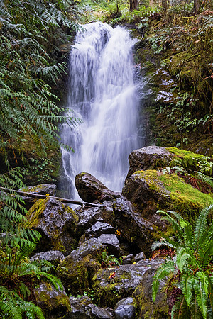 Olympia NP 4929