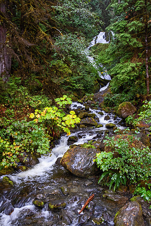 Olympia NP 4944