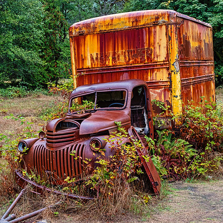 Olympia NP4971