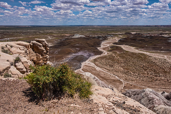 Petrified Forest NP 7311