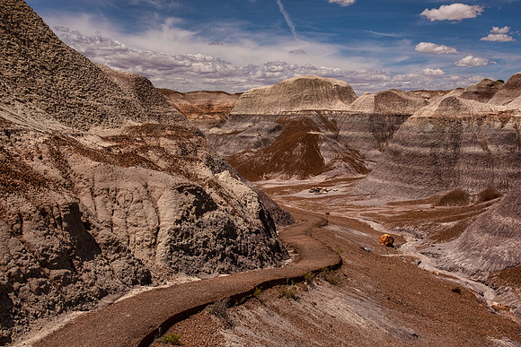 Petrified Forest NP 7317
