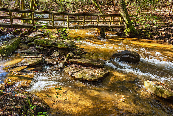 Smoky Mountain National Park 9693