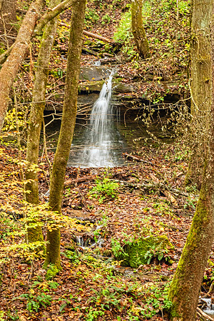 Smoky Mountain National Park 9743