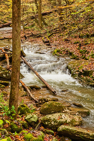 Smoky Mountain National Park 9745