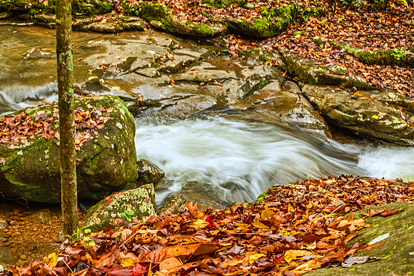 Smoky Mountain National Park 9746