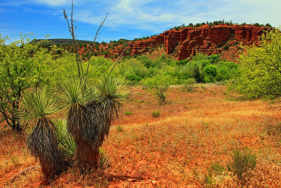 Sedona 9425