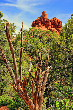 Sedona 9468