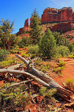 Sedona 9481