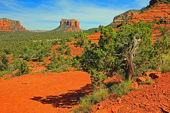 Sedona 9490