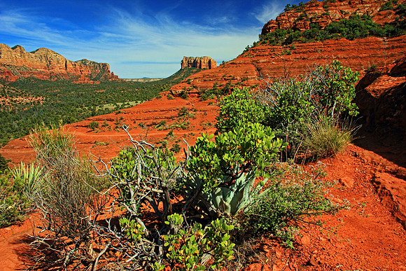 Sedona 9494