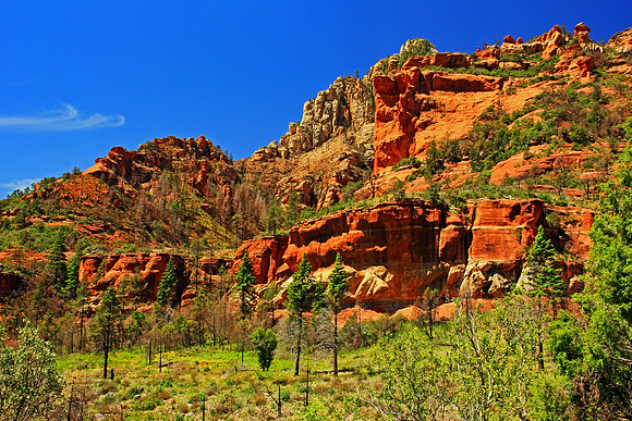 Sedona 9514