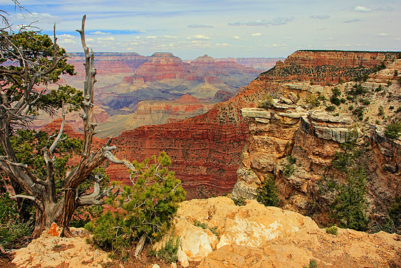 Grand Canyon 9521
