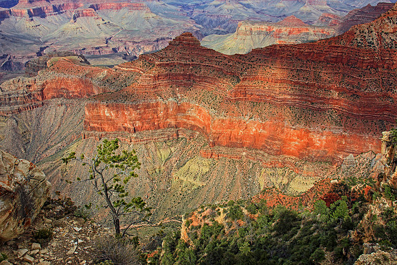 Grand Canyon 9610