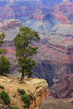 Grand Canyon 9637