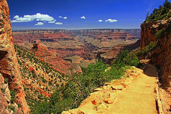 Grand Canyon 9716