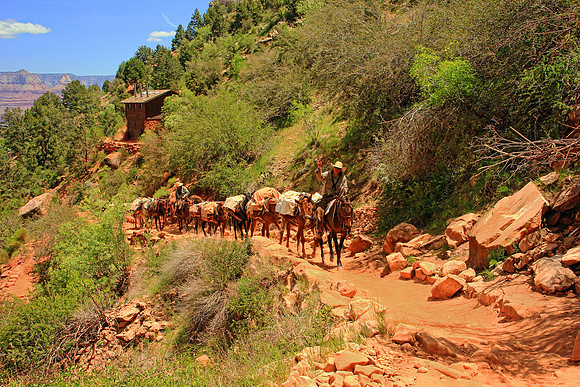Grand Canyon 9728