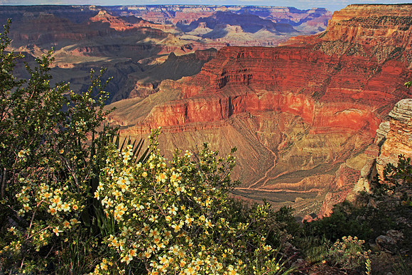 Grand Canyon 9775