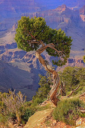 Grand Canyon 9783