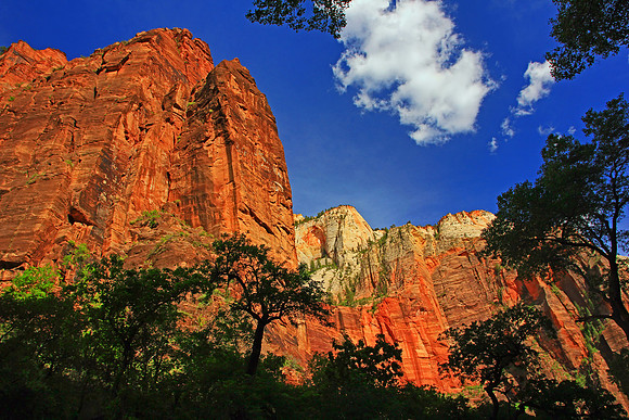 Zion National Park 0127