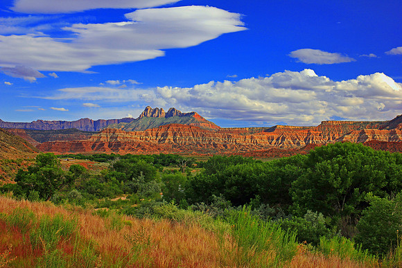Zion National Park 0206