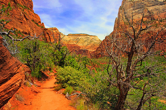 Zion National Park 0127