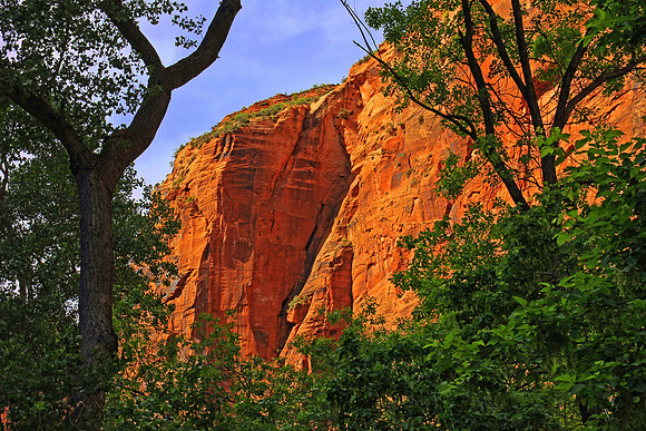 Zion National Park 0179