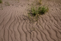 Great Sand Dunes NP 4535